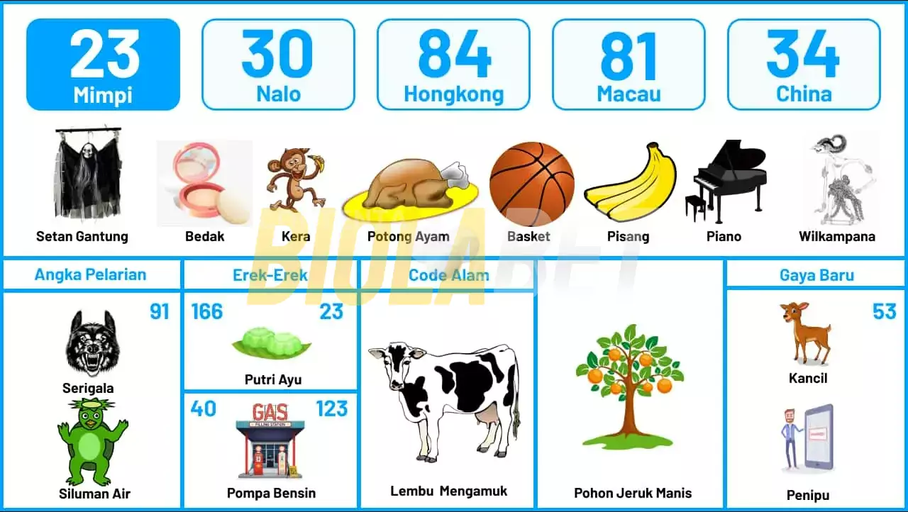 buku mimpi erek erek togel 23