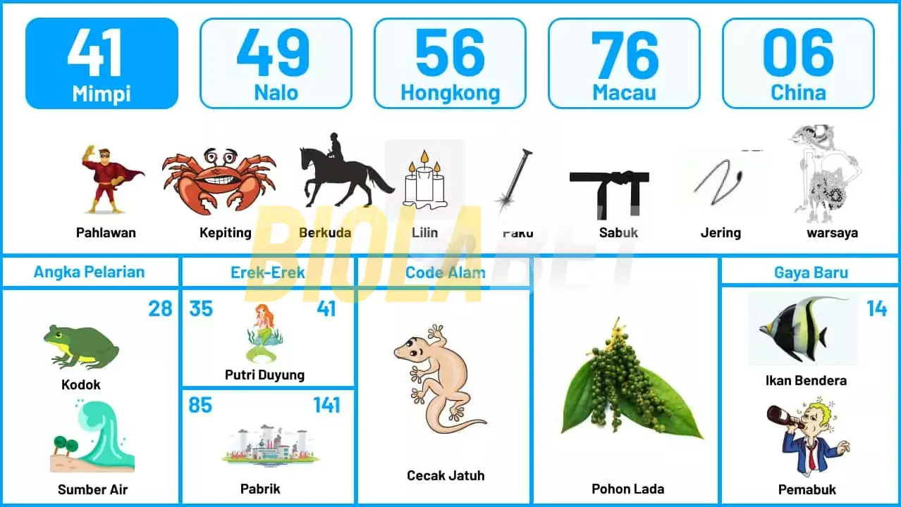 buku mimpi erek erek togel 41