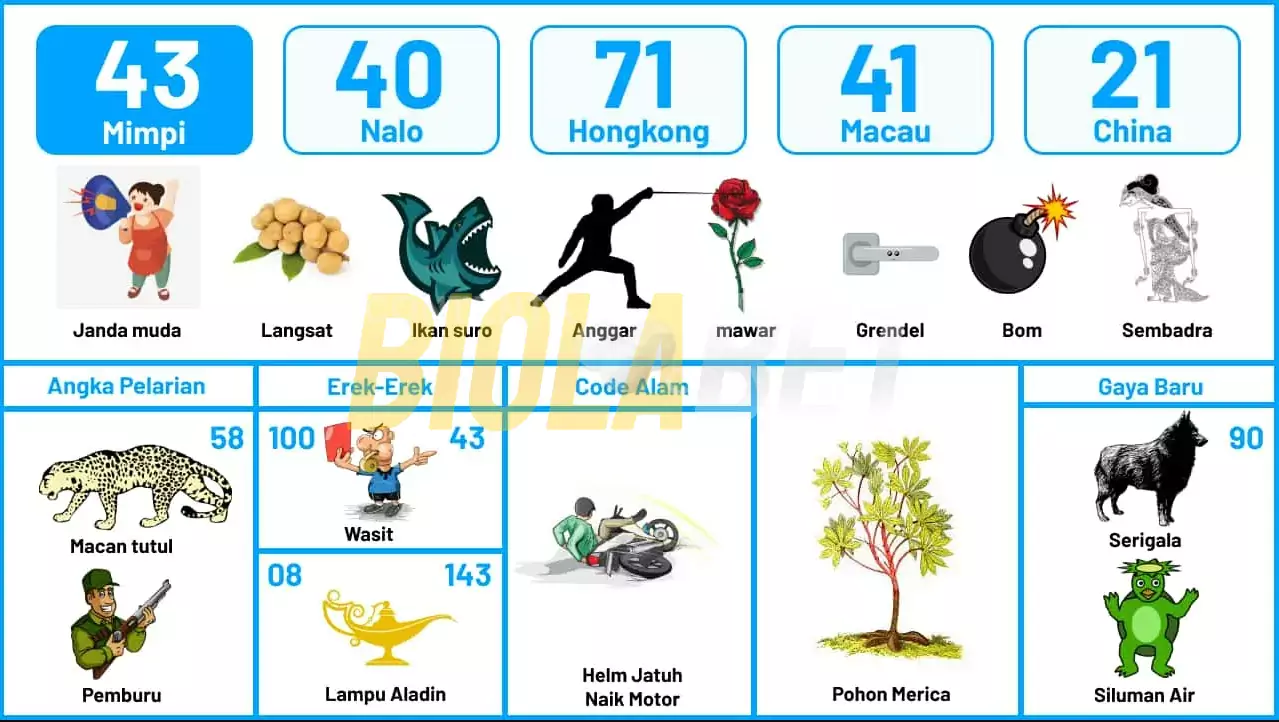 buku mimpi erek erek togel 43