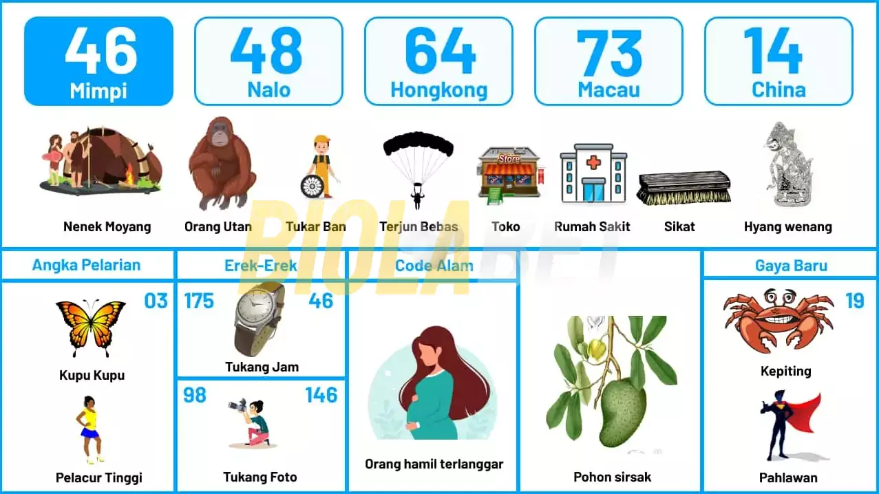 buku mimpi erek erek togel 46