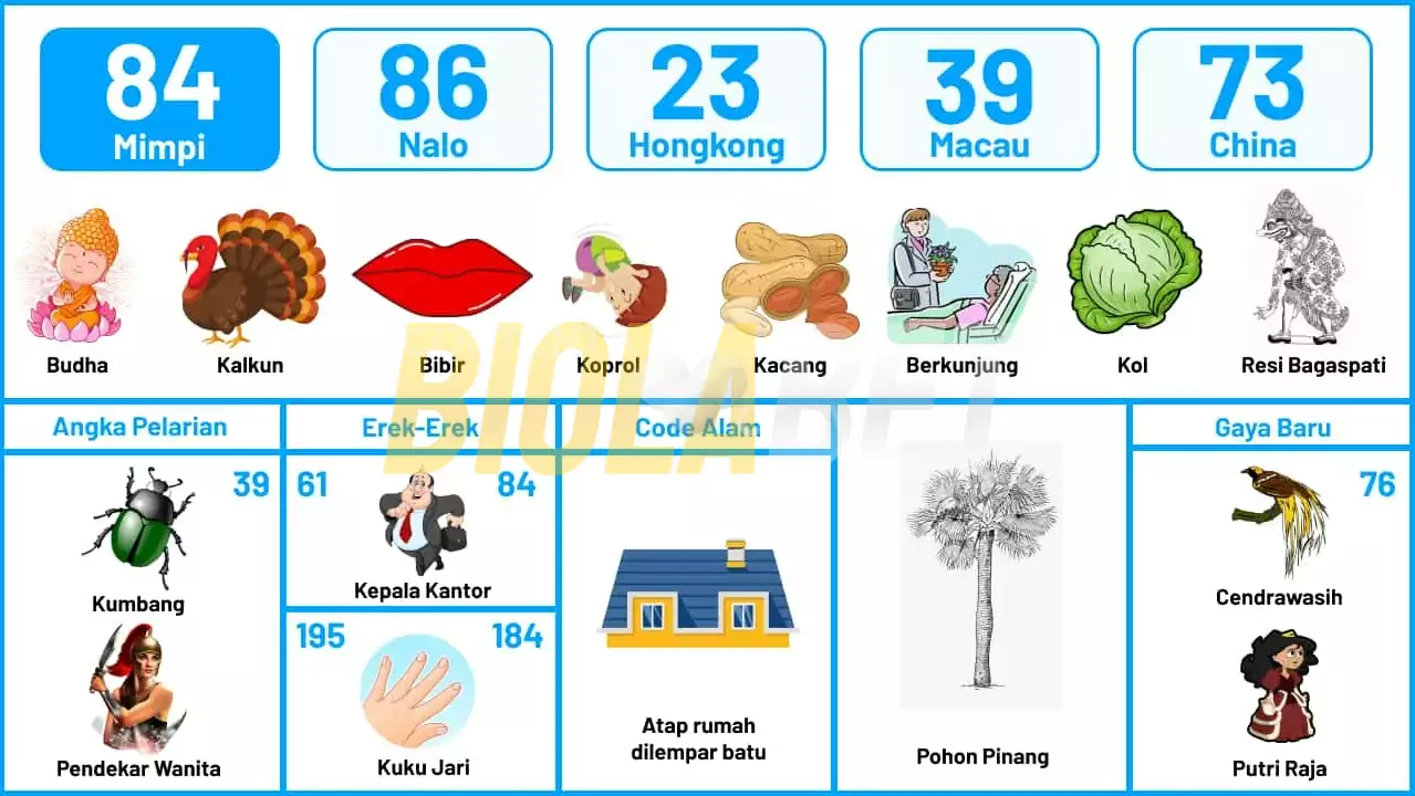 buku mimpi erek erek togel 84