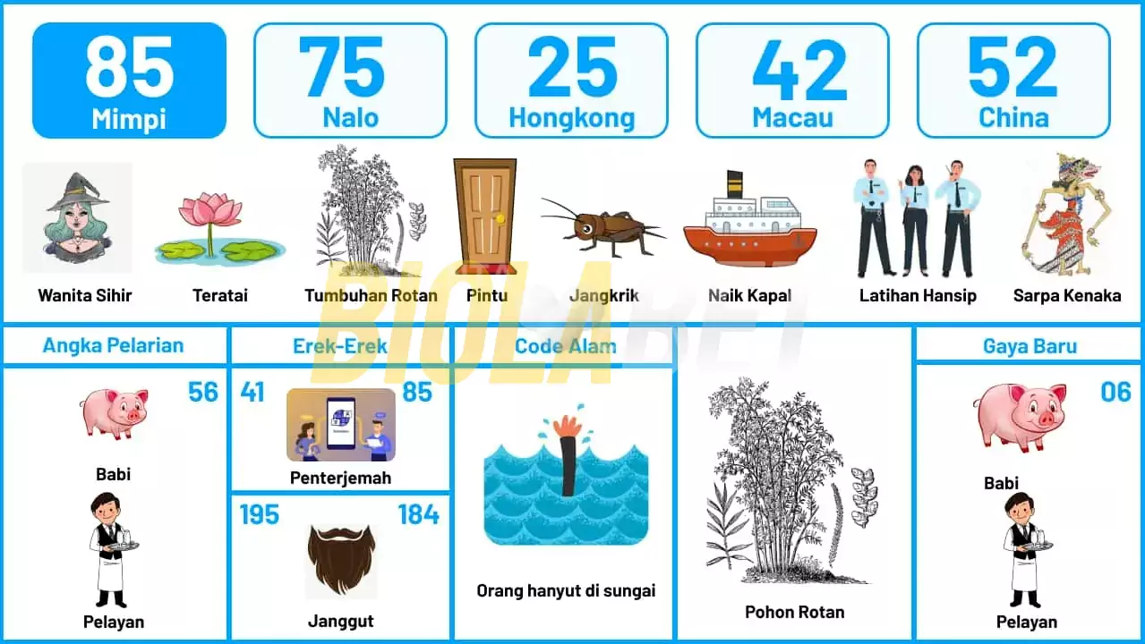 buku mimpi erek erek togel 85